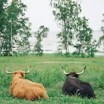 Taju * Manniva